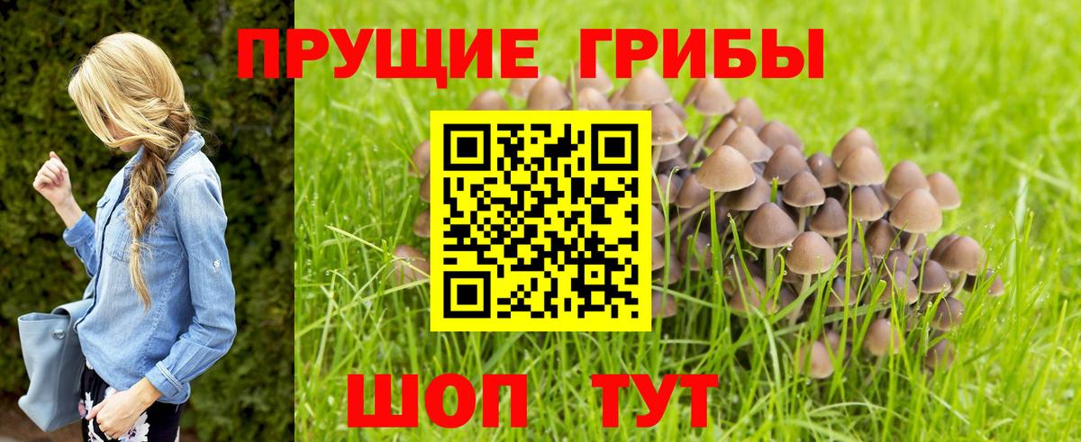 Галлюциногенные грибы ЛСД  Галлюциногенные грибы Cubensis  Кунгур  Вход с VPN 
