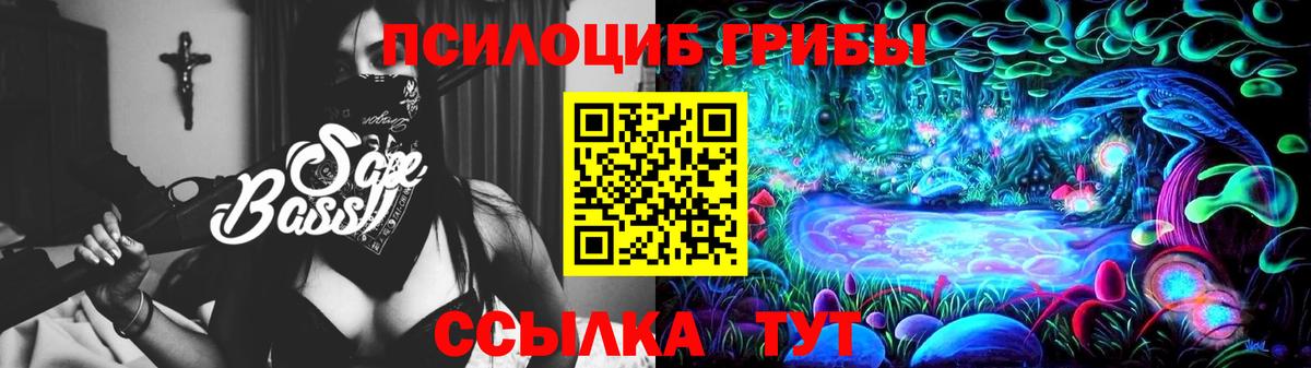 Псилоцибиновые грибы прущие грибы Кунгур